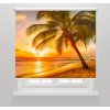 Fotoroleta Západ slunce s palmami