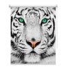 Fotoroleta Bílý tygr