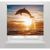 Fotoroleta Delfín ve světle oceánu 1