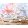 Fototapeta na zeď - Něžná krása rozkvětu
