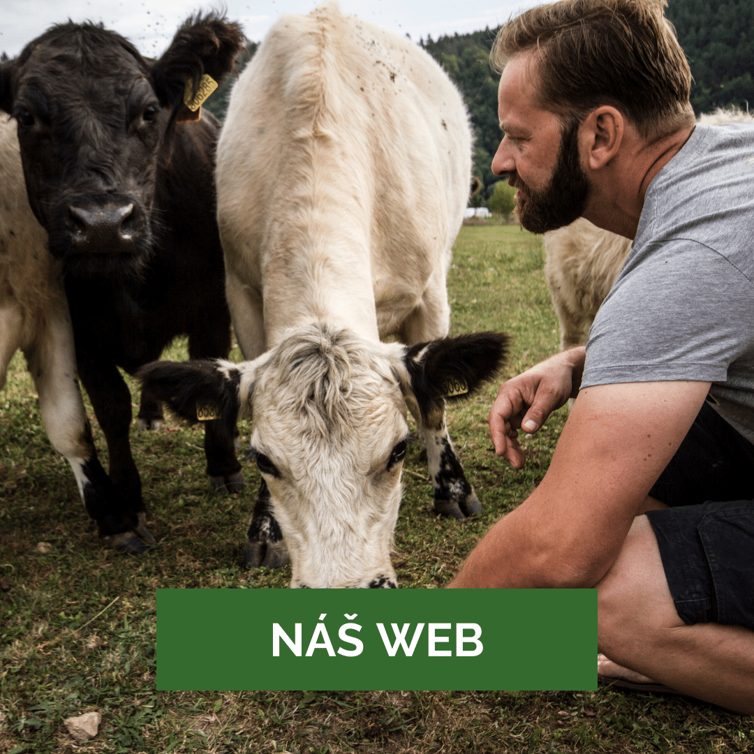 NÁŠ WEB