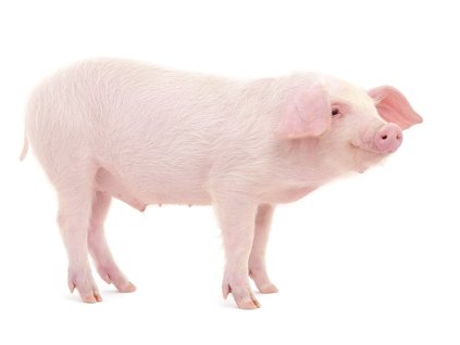 e9cc8198 bfee 4aa2 9830 85321e0bc510 lrg