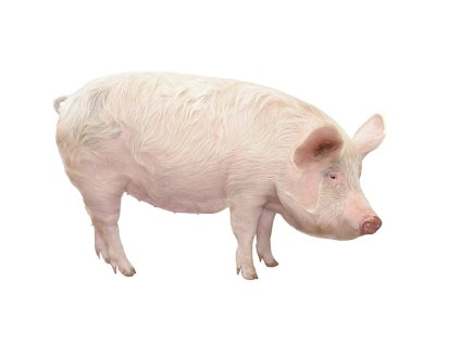 82575571 c506 46f8 9bb9 a045fa85bafb lrg