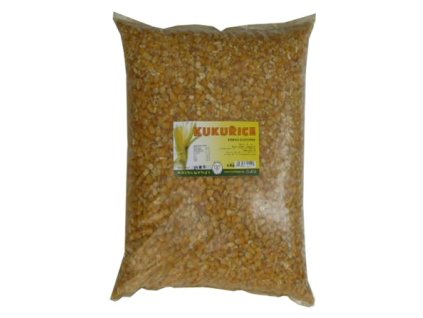 Krmná kukuřice zrno