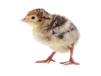 076ef801 60ac 4d07 b340 610913fa9598 lrg