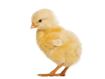 a71f49fb cb2b 43a9 b54f 8bb393954346 lrg