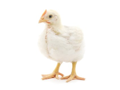 d48cf7cb 6816 4b9a b416 3f473ce2ccd2 lrg