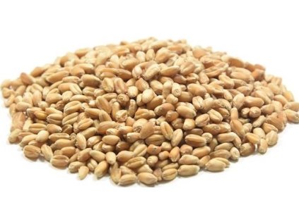 c0aebed4 58ef 4b09 8cbc aaa2d57344fc lrg