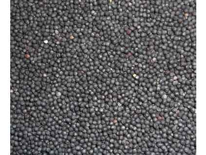 0a53dbc6 891c 43f7 96d8 b124a2c6d6b9 lrg