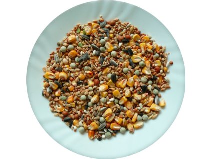 4f55857e 151f 4a80 912b 605e0b70d785 lrg