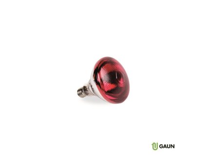 d38af474 b392 4bf5 bf3d 79ca38284ef5 lrg