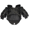 9500 ches