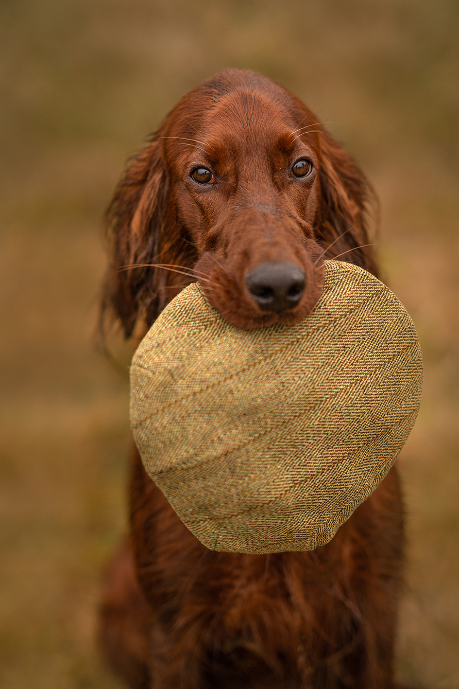 Jmenuji se Laski a jsem (trend) setr.