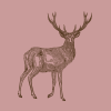 jelen růžovo-hnědá