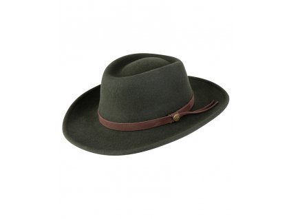 hoggs 293 1596