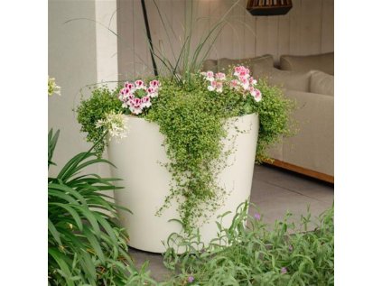 FoxyS PolyAngle white