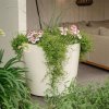 FoxyS PolyAngle white