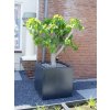 FoxyS kvetinac POLYCUBE Sklolaminat matny