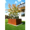 zahon cortenovy stvorec FoxyS