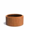 Cylindria corten L FoxyS