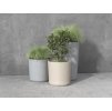 Betoni SIMPLE M FoxyS (2)