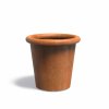 Bordera corten L FoxyS