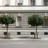 Tree grids and protection