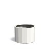 Glint alu S FoxyS