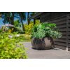 ADEZZ Project Planters Lora 007