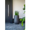 ADEZZ Project Planters Lora 008