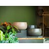 ADEZZ Project Planters Lora 001