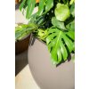 ADEZZ Project Planters Lora 002