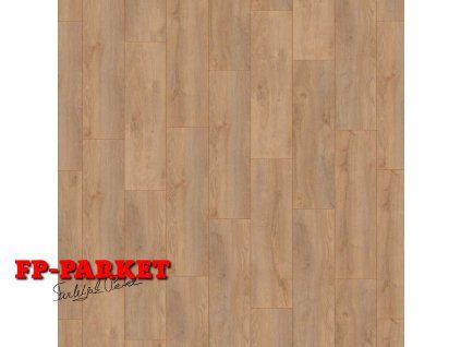 ADV%2B D4954 FRONT.jpg