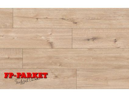 55087 Arteo Classen Dub Gibson WR