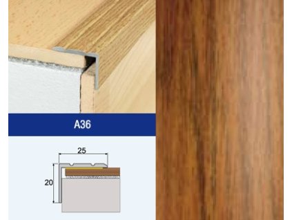 *EFFECTOR A36 SCHOD 25X20 GASTAN