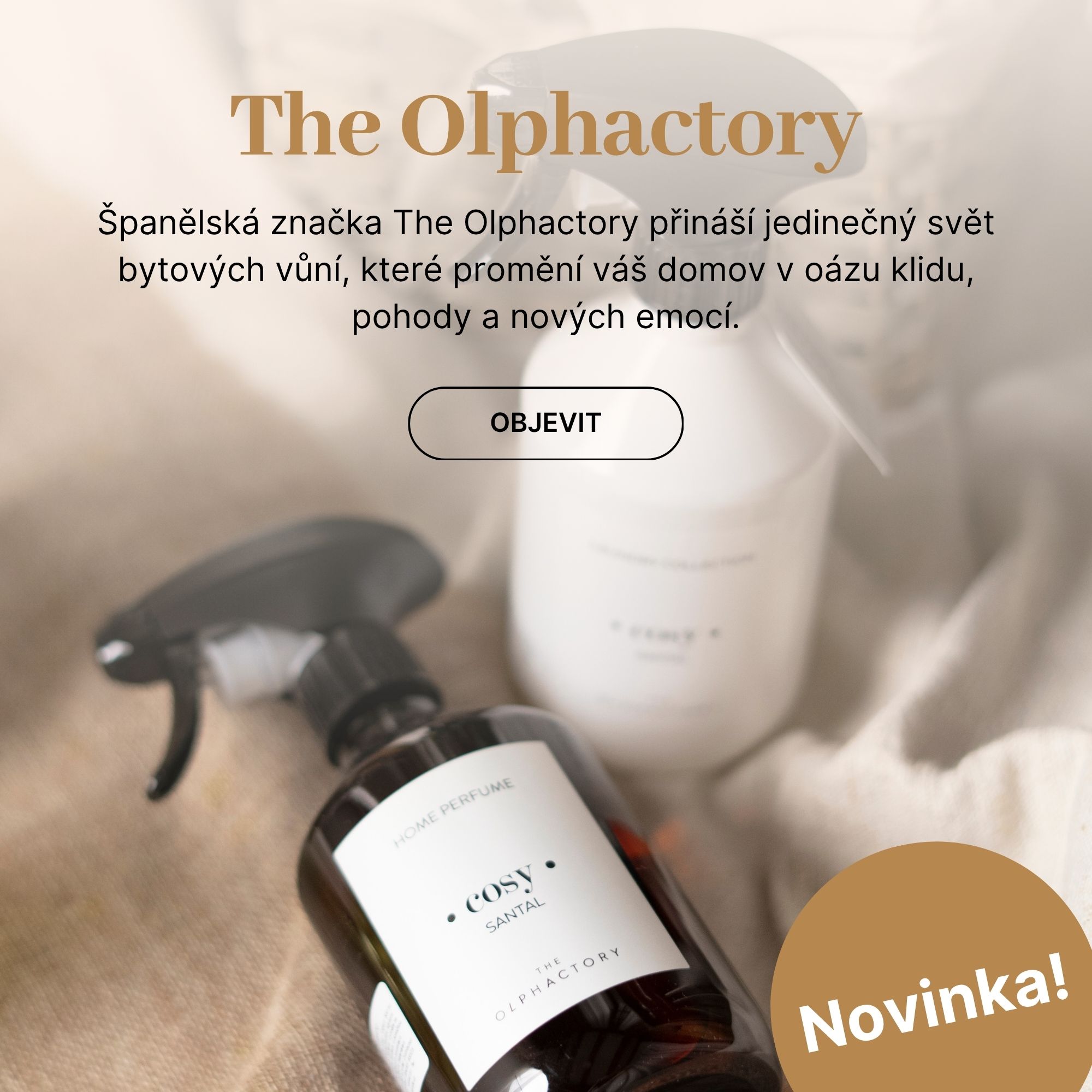 The olphactory