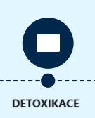 2.detox