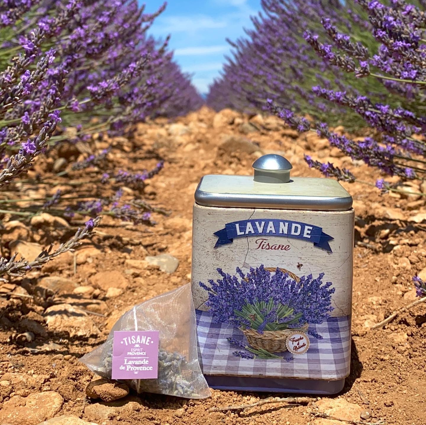 Levandule - Bylinkový čaj v plechovce 14,4g Esprit Provence