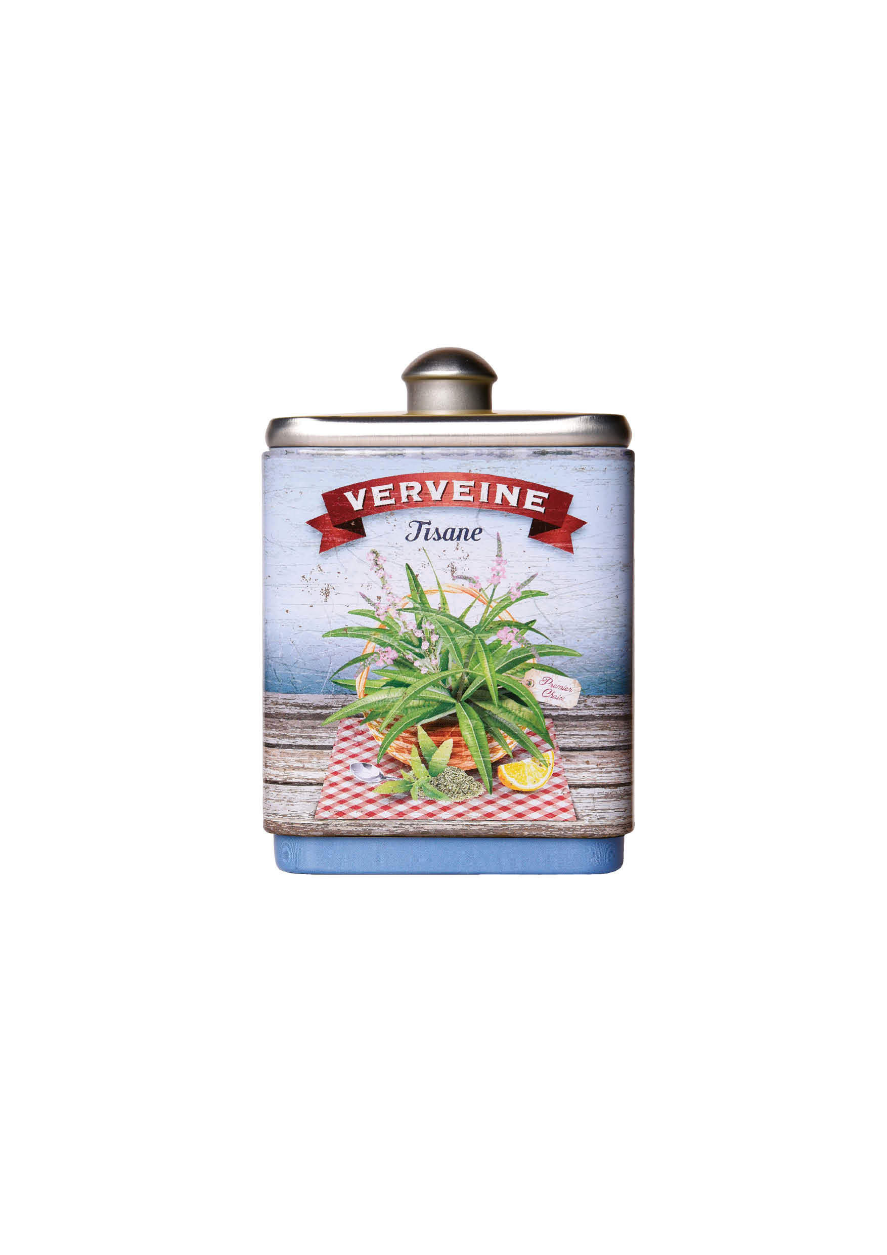 Verbena