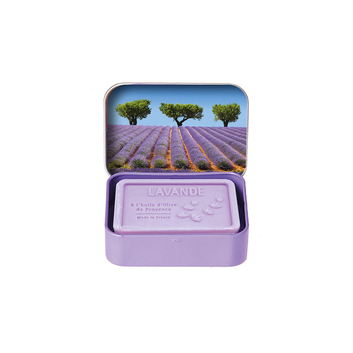 Strom v levandulovém poli