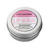 lip scrub 61023