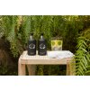 2 1726+2 1727 PC Black Edition H&B Wash+Body Lotion 1