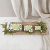 1 1914 1 1905 1 1900 CB Verbena Soap Collection 1 square