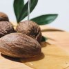 shampooing soin nutrition olive karite argan ingredient