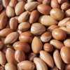lait corps nourrissant argan ingredient