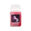 4260182 Unicorn Dreams