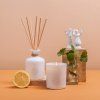 1 0074 1 0076 CB Sardine Candle + Diffuser 250ml 1 square
