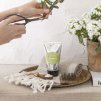1 1926 CB Verbena 60mL Hand Cream 2 square