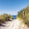 secluded dunes label art
