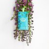 2 1410 portuscale butterflies sachet